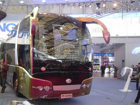 【鴻鳴巴士】三伏天灸，深圳大巴租車(chē)帶你冬病下治